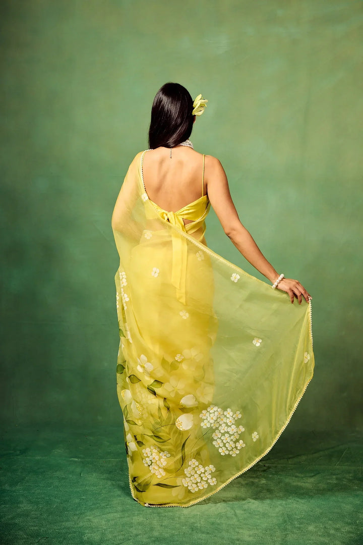 Sky Blue Hand-Painted Pure Organza Saree with White Dogwood Floral Motifs & Modal Satin Blouse