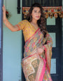 Multicolor Buti & Floral Panel Handloom Cotton Saree with Pink-Green Pallu Art