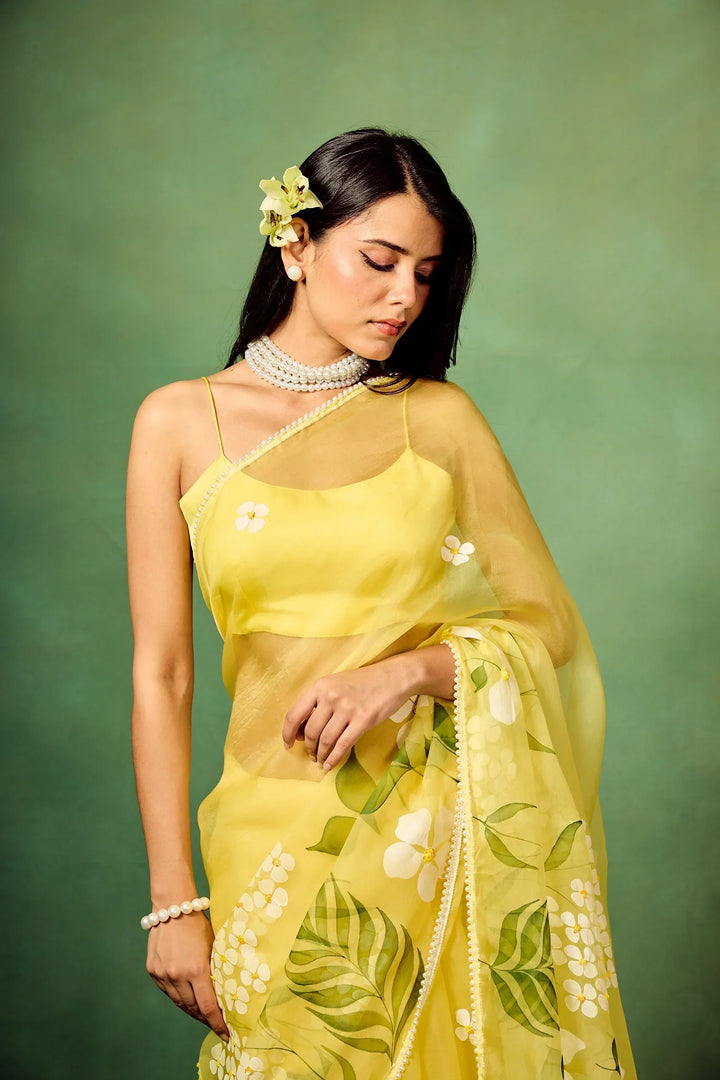Sky Blue Hand-Painted Pure Organza Saree with White Dogwood Floral Motifs & Modal Satin Blouse